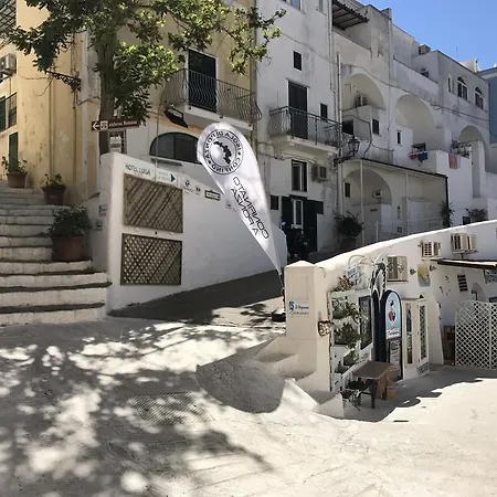 Rosa - Immobilevante פונזה
